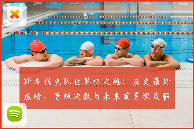 斯洛伐克队世界杯之路：历史最好成绩、晋级次数与未来前景深度解析